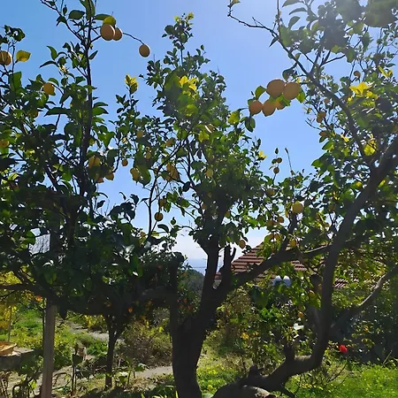 Palati * 케팔로니아