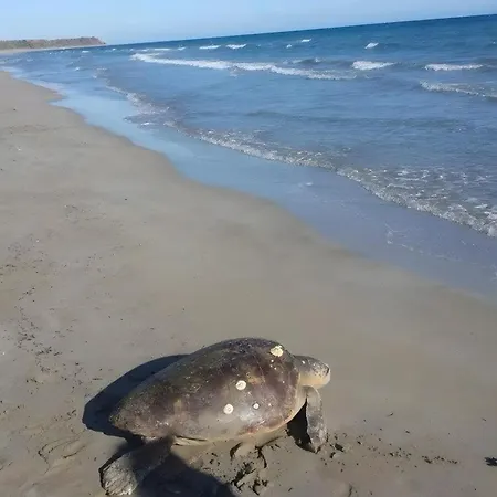 Palati Hébergement de vacances *